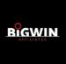 логотип Big Win Affiliate Program