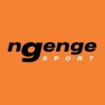 Logotipo da NgeNge