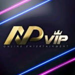 логотип NpVip