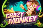 crazy-monkey.jpg