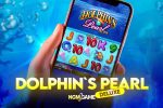 dolphins-pearl-deluxe_911.jpg