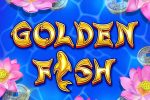 golden-fish_372.jpg