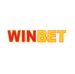 логотип Winbet Affiliates